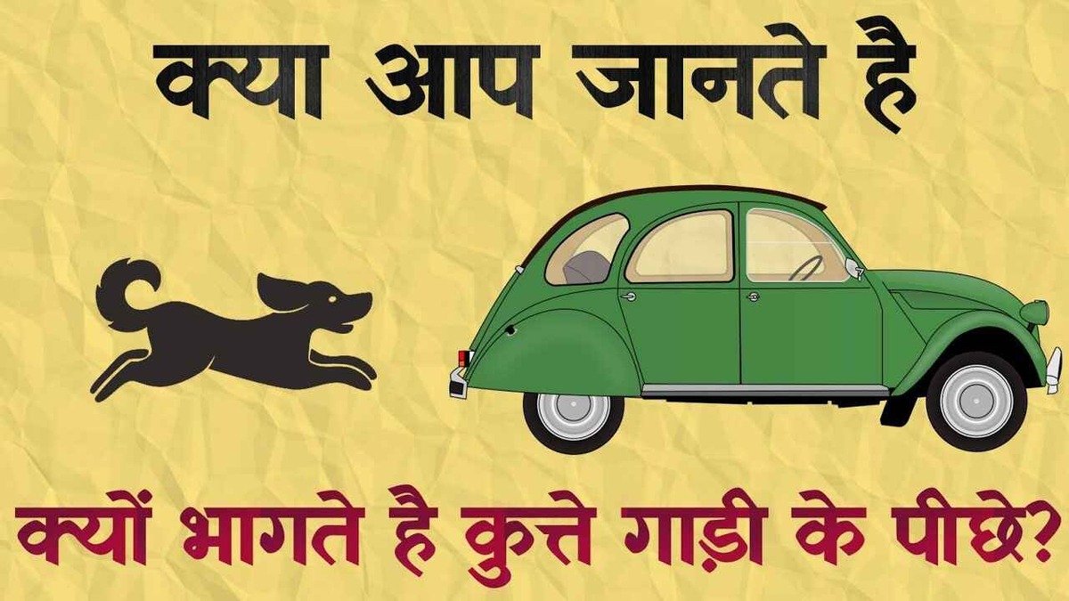 गाड़ी के पीछे क्‍यों दौड़ने लगते हैं kutte? सही वैज्ञानिक कारण जान हैरान हुए लोग, आप भी जाने