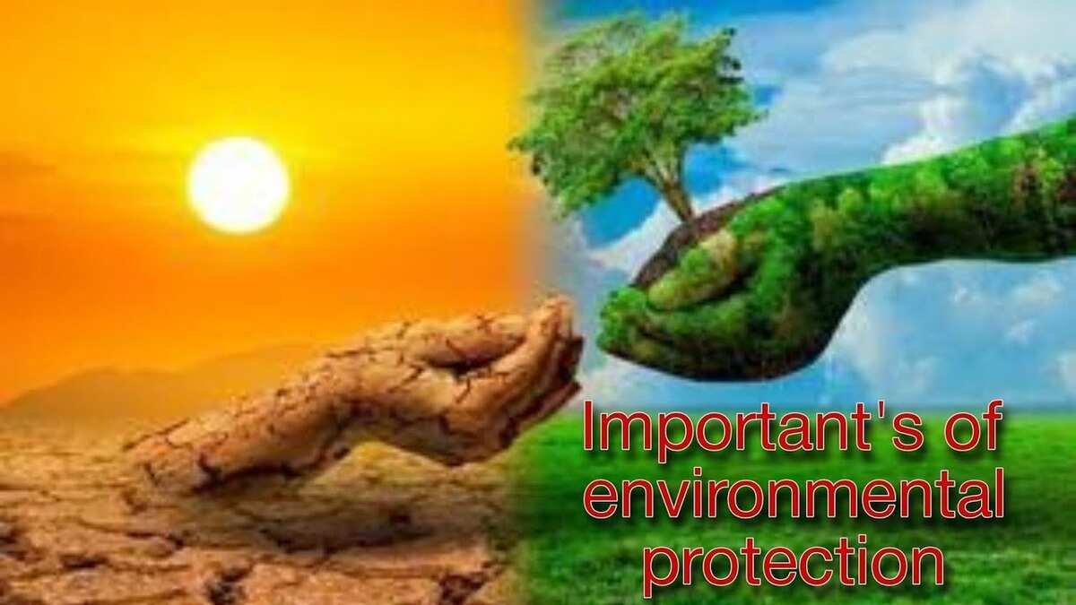 जान गए तो हो जाएंगे अचंभित, पर्यावरण संरक्षण क्यों है ज़रूरी? | Why is environmental protection important?